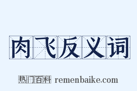 肉飞反义词是什么意思的图片